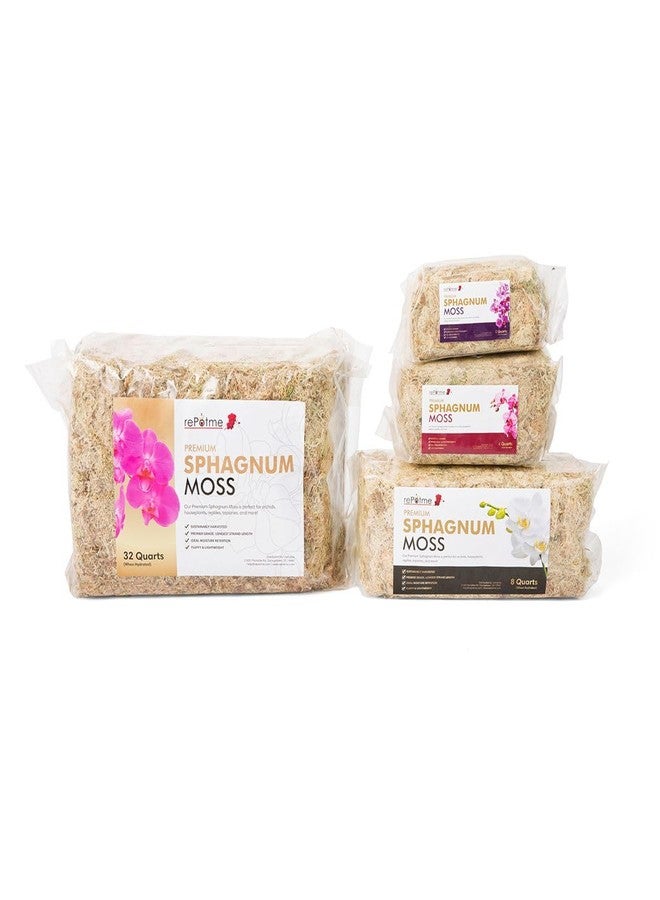 rePotme Premium Organic Sphagnum Moss, Orchid Moss - 2 Quarts (When Hydrated) - Image 2